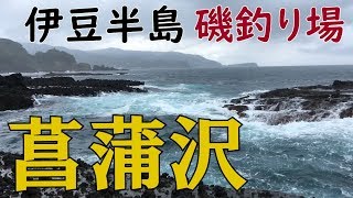 伊豆半島磯釣り場 菖蒲沢 メジナ釣り シーバス ショアジギング MANCING MANIA JAPAN