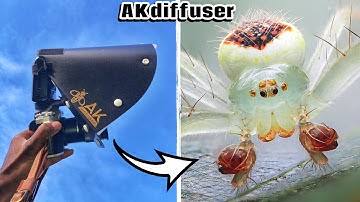 First Session with AK Diffuser/Review