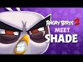 Shade GAMEPLAY REVEAL - Release Date Announced 🔥