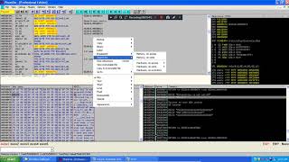 Security Essentials 2011 Activation + Cracking Themida