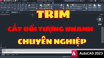 Autocad cơ bản  - Lệnh cắt đối tượng (Trim)