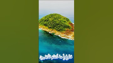 سورة التوبة و،،كا؛؛نك تسمعها لأ،،و..ل مر.ة 🌺💜؛.🌸❣️💟؛؛💮،🌸بصوت الشيخ حمزة مد،بو.ح 💗.🏵️،،،🌼💝،،،💟💙💐