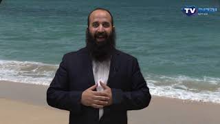 סיפור מצחיק על חתול, עם מסר מעניין.
