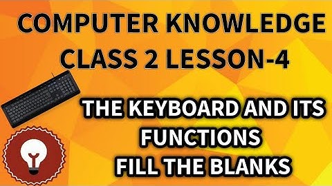 COMPUTER KNOWLEDGE CLASS 2 LESSON-4 THE KEYBOARD AND ITS FUNCTIONS TRUE & FALSE BY SULATA MAHARANA