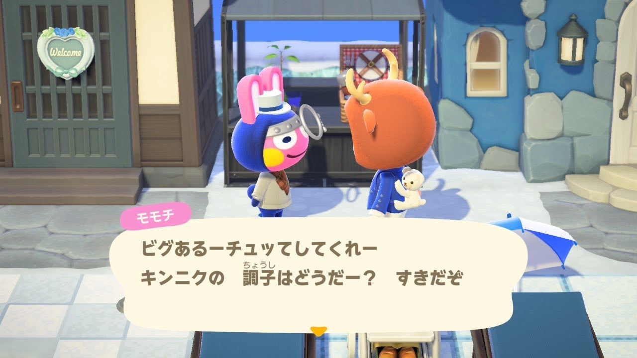 【あつまれどうぶつの森】騙し絵と楽しむVer3.0