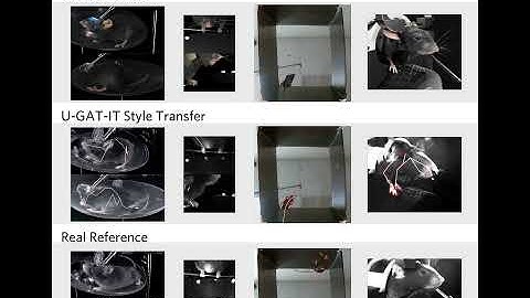 Tracking a virtual mouse