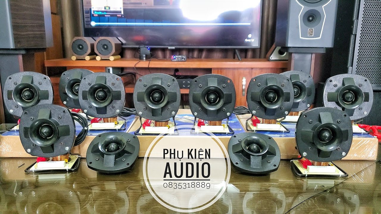 Cặp Loa Treble Pioneer Bãi Nhật Này Hay Quá / Lh: 0835318889