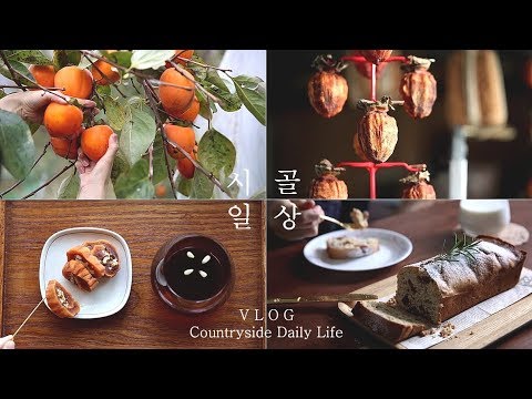 ENG SUB) 시골 일상 (곶감편) │ 감 수확해서 곶감 만들고 곶감으로 만든 음식