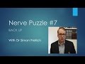 Nerve puzzle 7 - Back up - the neurophysiology assessment of sciatica