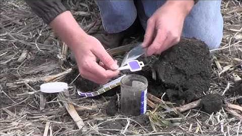 How to Conduct the Soil Respiration Test