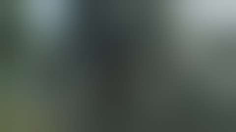 Skyrim Mod - Acrobatic Dodge Animation 1.1