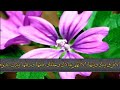 دعاء كل يوم من شهر رجب الوارد عن الامام المهدي عليه السلام الرادود شبلي العامري لافرق بينك وبينها 