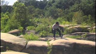 Aspect Throwaway Montage 4