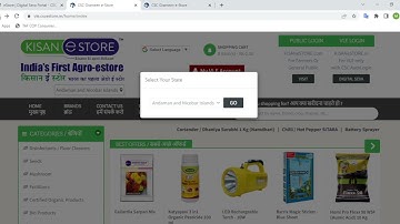 CSC Grameen eStore Portal Updates and CSC eStore Pay Later