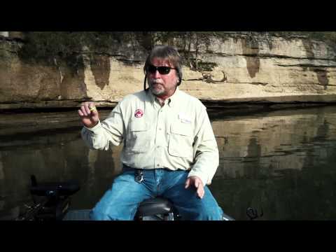 Buckeye Shad Finding Small Mouth Bass