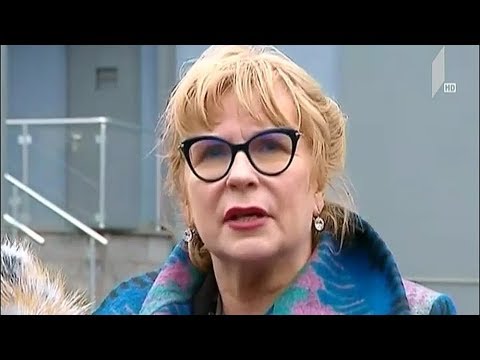 ევროპარლამენტარის ვიზიტი