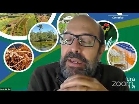 Vídeo: Condicionador De Solo: Como Usar Um Aditivo Para Melhorar A Fertilidade Do Solo, Para A Agricultura Orgânica E Restaurar A Fertilidade