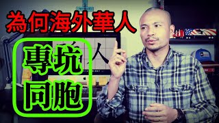 為什麼海外華人不團結反而專坑同胞分享我被騙的經歷以及我差點使別人受騙┃洛奇漫談