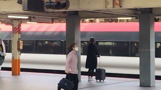 E259系クラNe019編成横浜駅発車