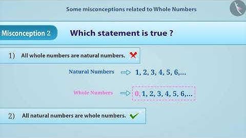 Whole Numbers | Part 3/3 | English | Class 6