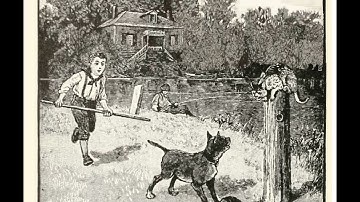 a 0-6 Video Lesson VI: Nat