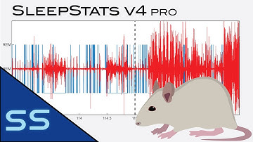 SleepStats v4 Pro 3-State Analysis Feature