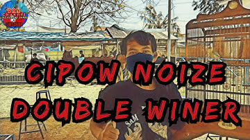 Settingan Lomba || Cipow Noize Milik Om Kim_Kim CMB