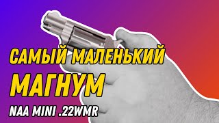 Naa Mini Revolver .22Lr Для Постоянного Ношения