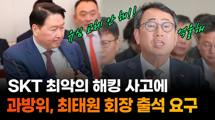 과방위, 최태원 회장 증인 채택 의결 / SKT 유심 해킹 사태 청문회
