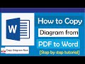 How To Copy A Diagram From Pdf To Word