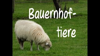 Learn German: Bauernhoftiere