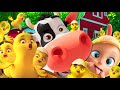 🐤🐥Los Pollitos Dicen Pio Pio + La Vaca Lola - Canciones Infantiles para niños - LooLoo Kids