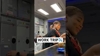 Day In The Life Of A Charter Flight Attendant