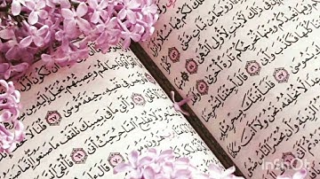 #سورة_الكهف #قرآن #قران_كريم #تلاوة_خاشعة #رقية_شرعية #سورة_البقرة #يوم_الجمعة #اسلام_صبحي #السديس