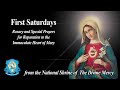 Sat, Aug 7 - First Saturdays: Rosary, and Special Prayer Event