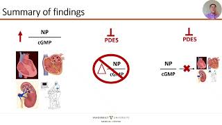 Correlates of plasma NT-probnp tocyclic GMP Ratio in heart failure with preserved ejection fraction