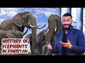 History of Elephants in Pakistan