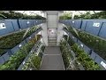 Now astronauts can grow their foods in space
