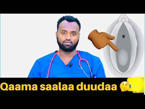 Qaama Saalaa Duudaa Cufaa