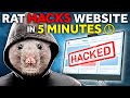 Rat hacks website in 5 minutes 