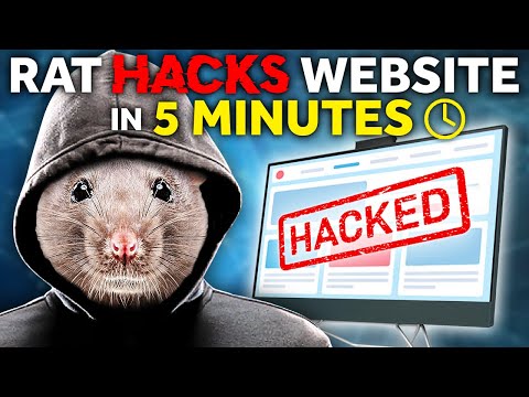 Rat hacks website