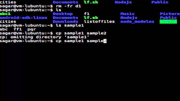 How to copy all files and subdirectories in Linux