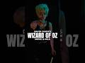 David Lynch’s Wizard of Oz movie is WILD 🤯 #cinema #wildatheart #davidlynch #moviereview #movies