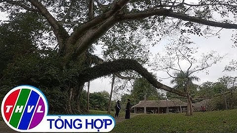 Phim tài liệu: Về nơi đầu nguồn cách mạng - Tập 2: Dưới bóng đa Tân Trào