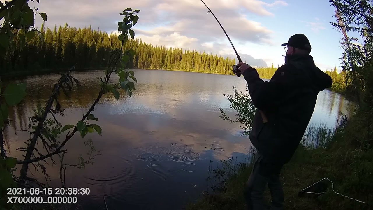 Norra Skärvången - Öring