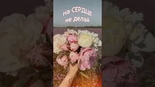 Доброе утро🥀