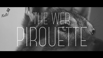 THE WER - Pirouette (Official Video)