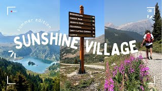 Sunshine Village in Summer // Let's visit the mustsee Sunshine Meadows in Banff National Park