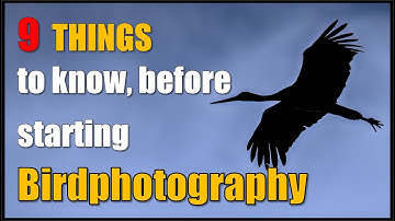 9 THINGS I WISH I KNEW BEFORE I STARTED Birdphotography.