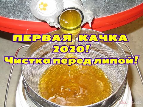 Первая качка меда